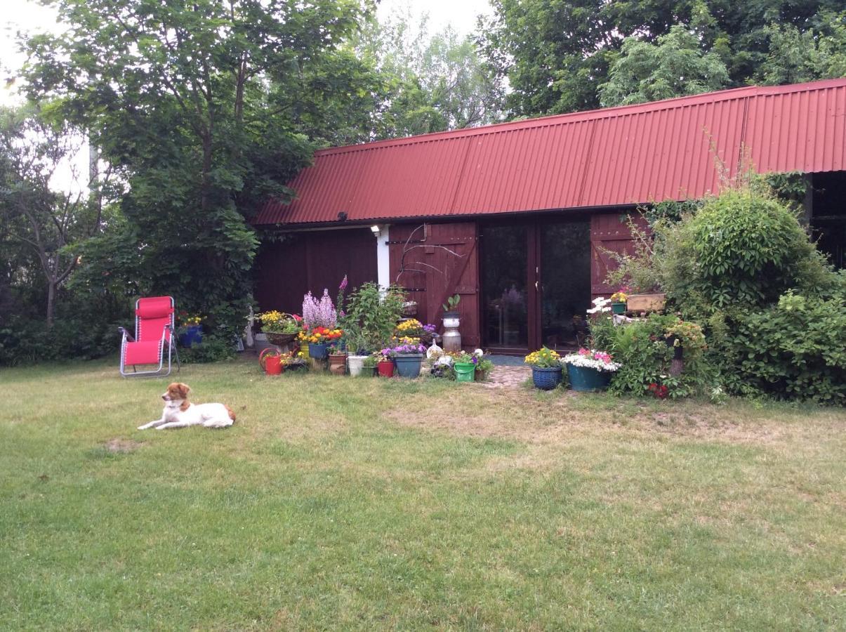 Satnatorium Bed & Breakfast Tuczno Bagian luar foto